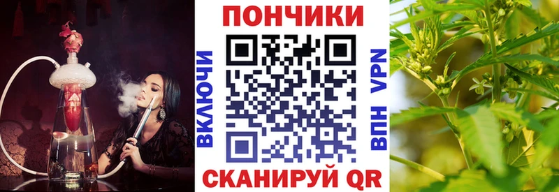 Где купить наркоту Ленинградская Cocaine  kraken как войти  АМФ  БУТИРАТ  Конопля  ГАШ 