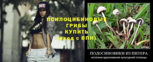 ГАЛЛЮЦИНОГЕННЫЕ ГРИБЫ Дмитров