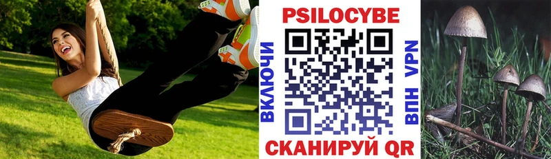 продажа наркотиков  Ленинградская  Псилоцибиновые грибы Psilocybe 